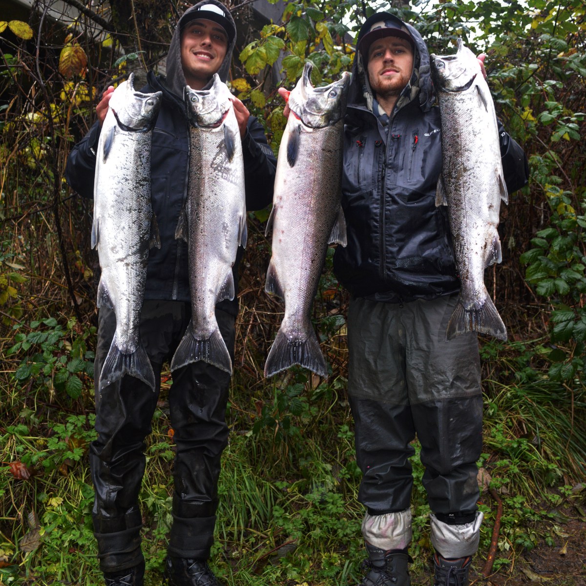 Two people in rain gear holding four large fish outdoors.