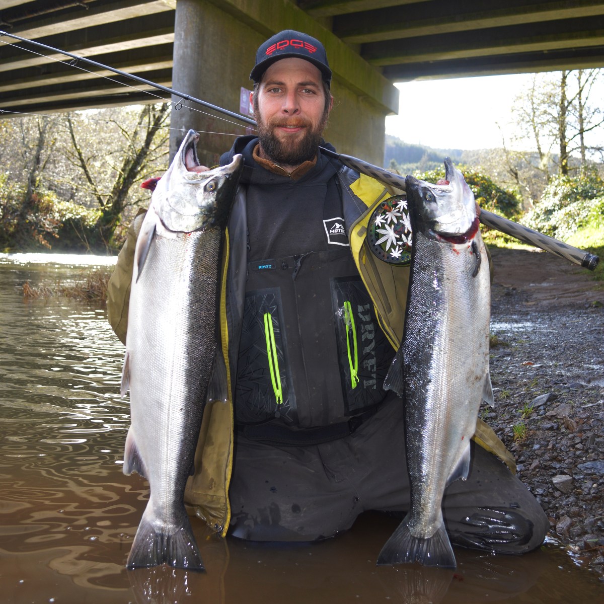 Person kneeling in water, holding two large fish with a fishing rod under a bridge.