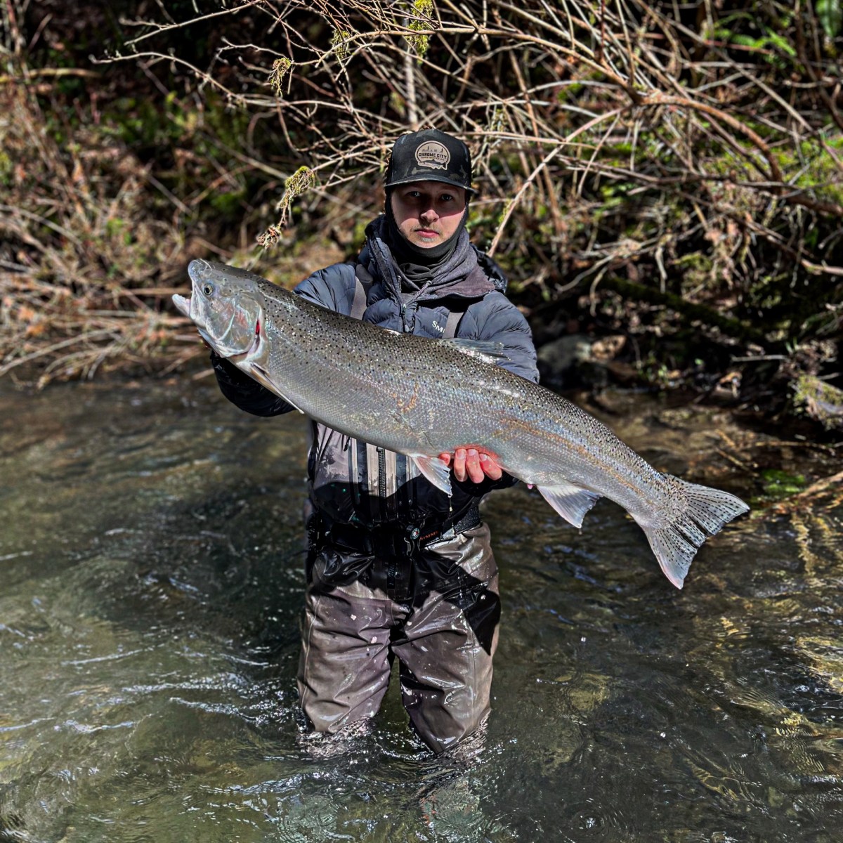 Person in waders holds a large fish in a shallow, clear stream with branches in the background.