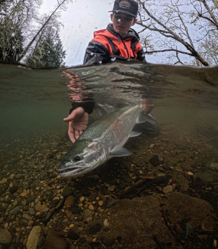 Person in orange vest holds a fish partly submerged in river.