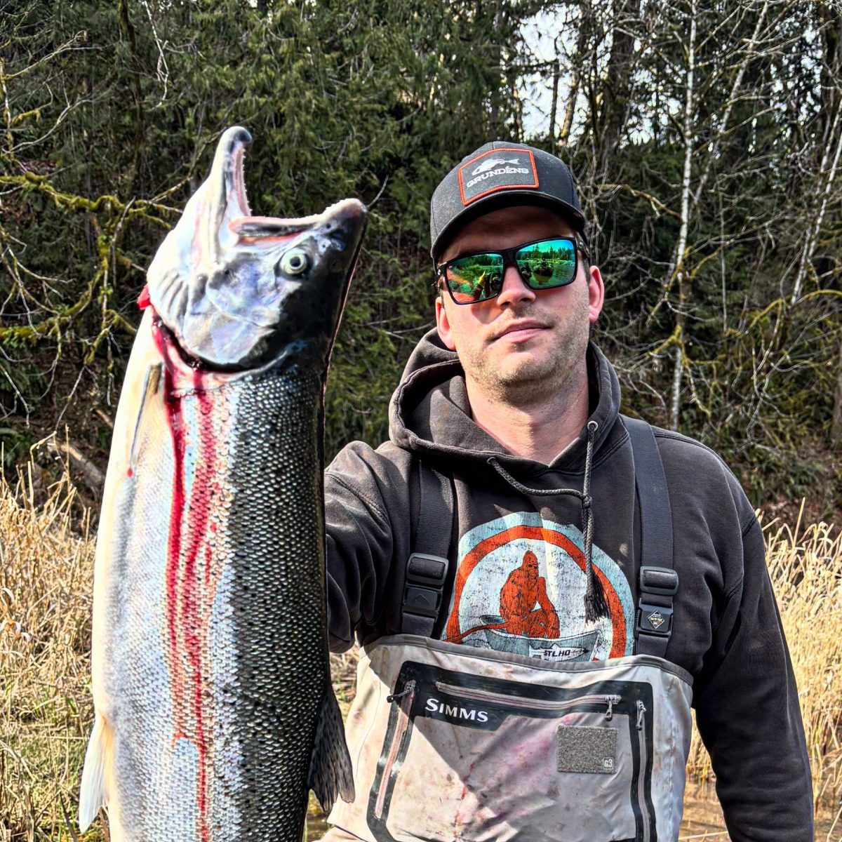 Person kneeling in water holding a large fish with forest background.