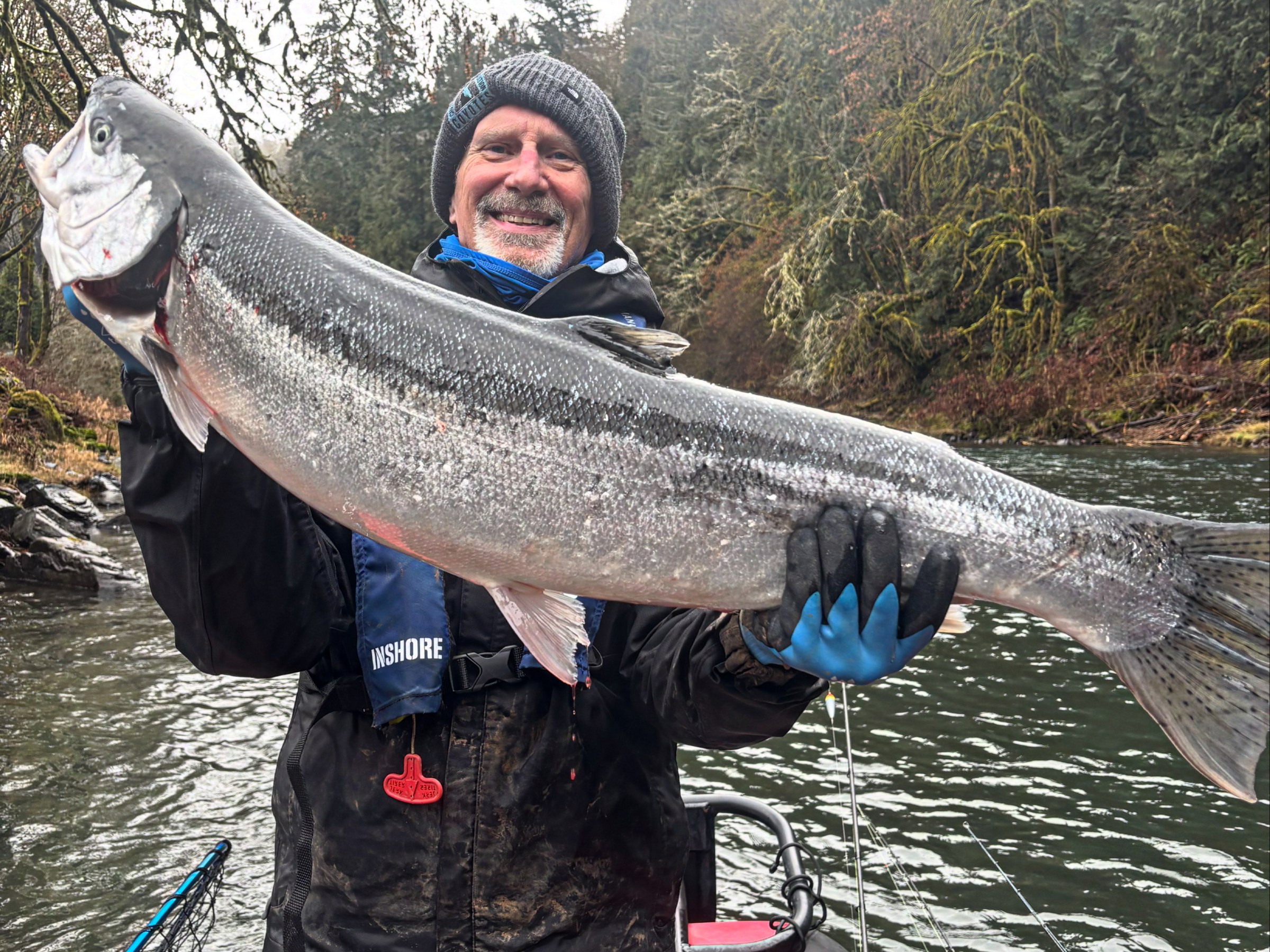 Person on a boat holding a large fish with a forested riverbank in the background.
