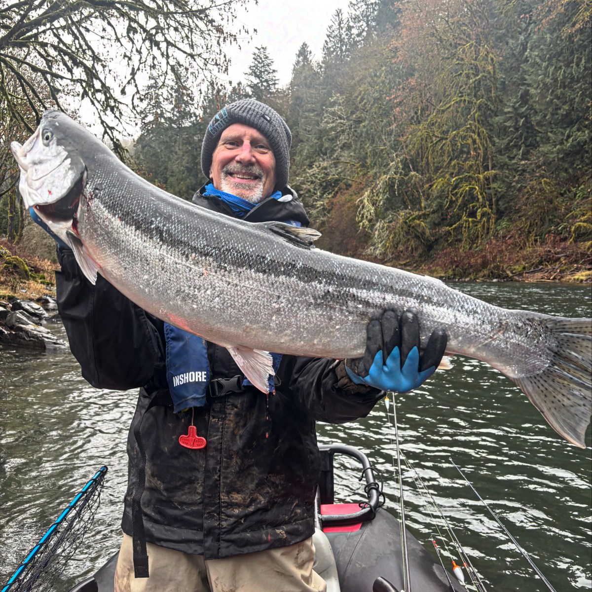 Person on a boat holding a large fish with a forested riverbank in the background.