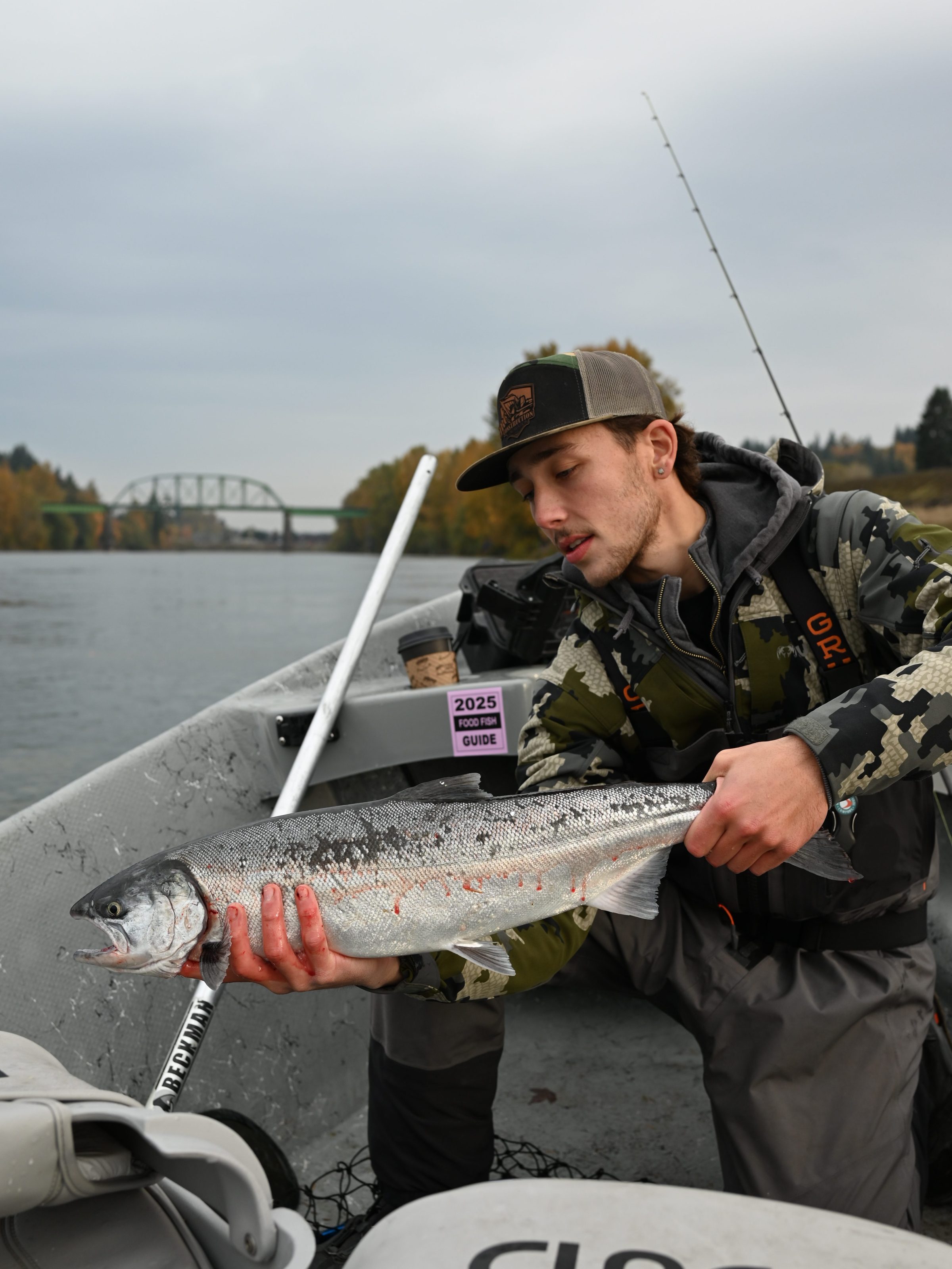 Man on a boat holding a large fish with a bridge and trees in the background.