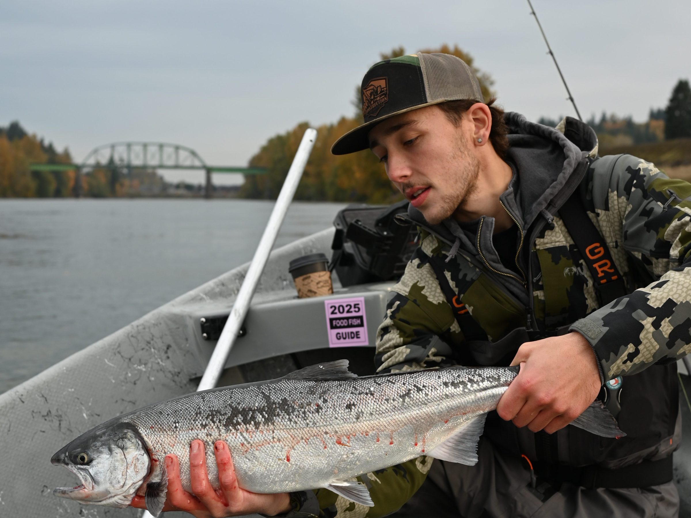 Man on a boat holding a large fish with a bridge and trees in the background.