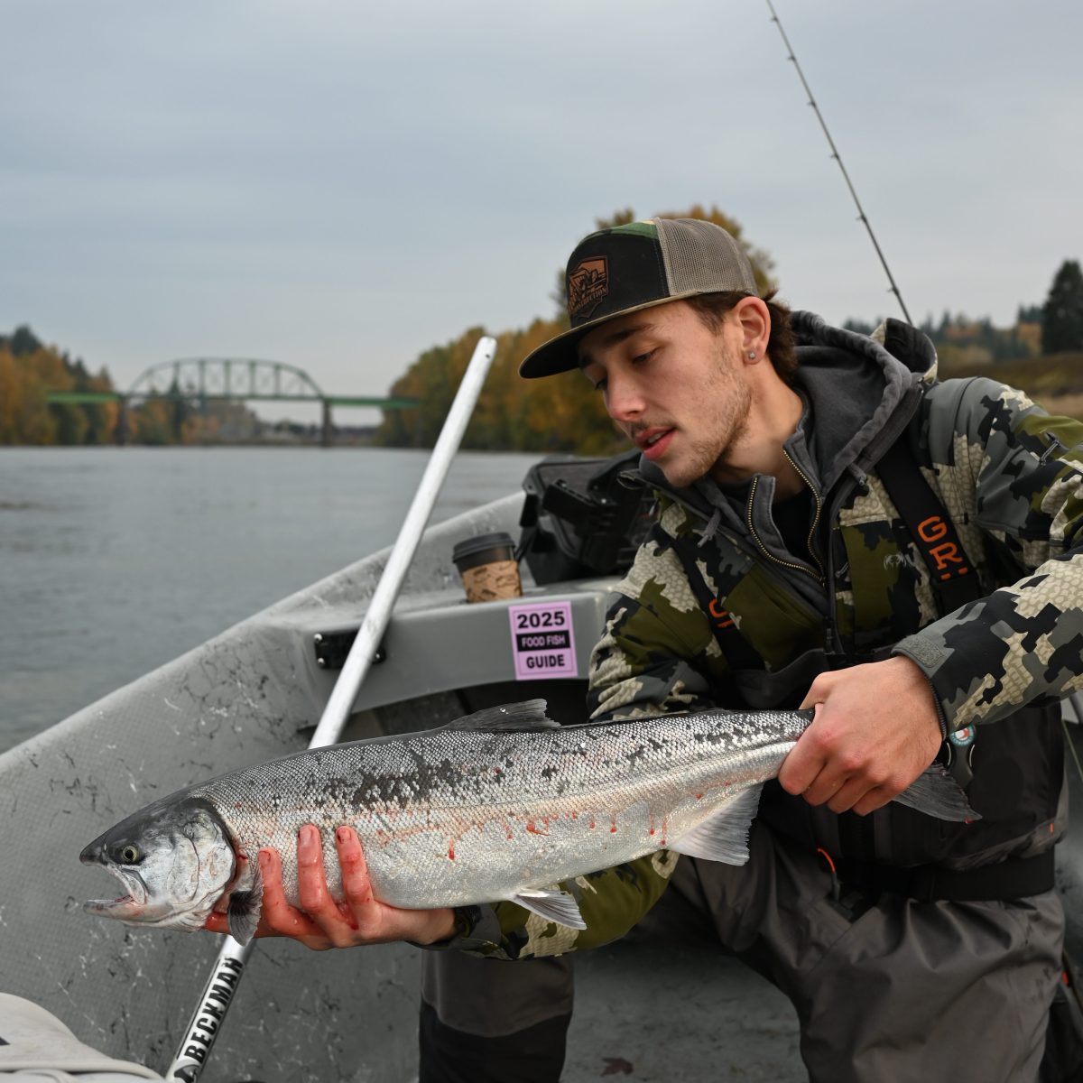 Man on a boat holding a large fish with a bridge and trees in the background.