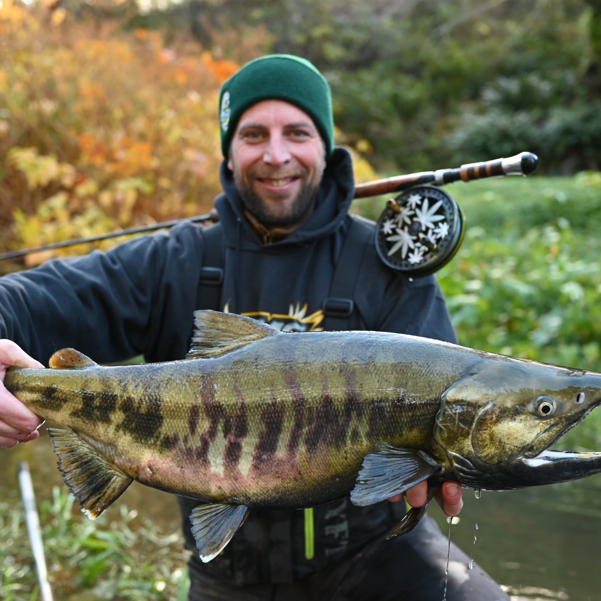 Man in green hat holding a large fish with fly fishing gear in a river.