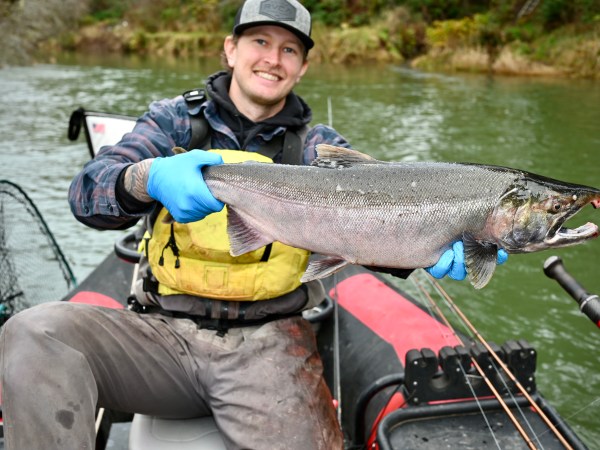 Person in a boat holding a large fish, wearing a cap, yellow vest, and blue gloves on a river.