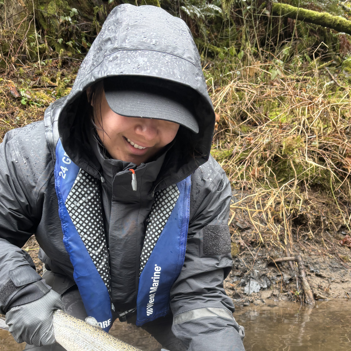 Person in rain gear holding a large fish near a muddy riverbank.
