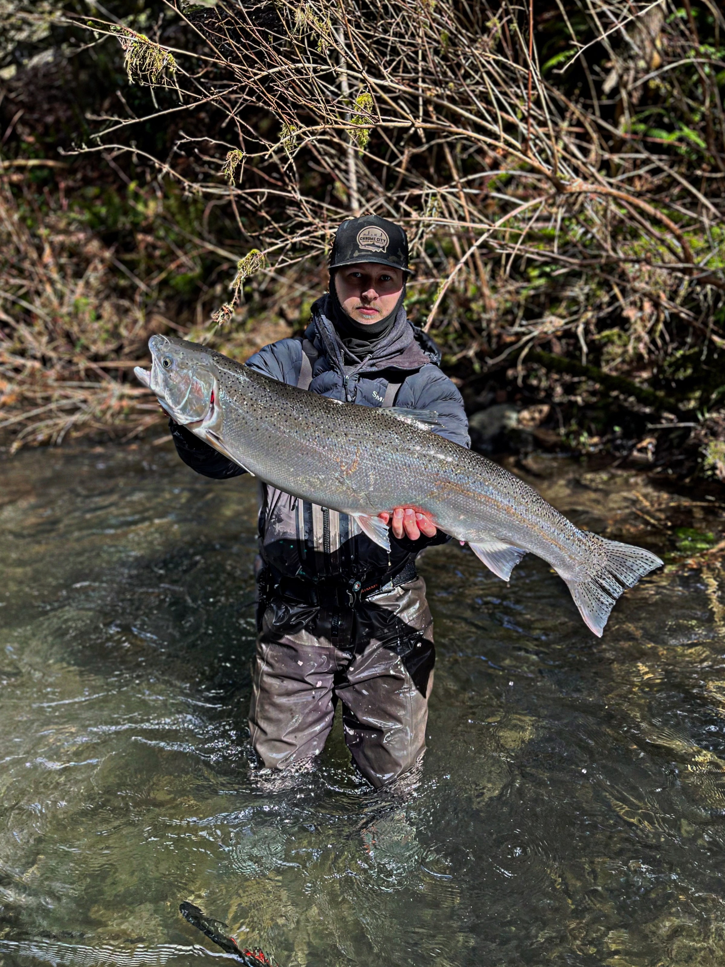 Person standing in water holding a large fish with bushes in the background.