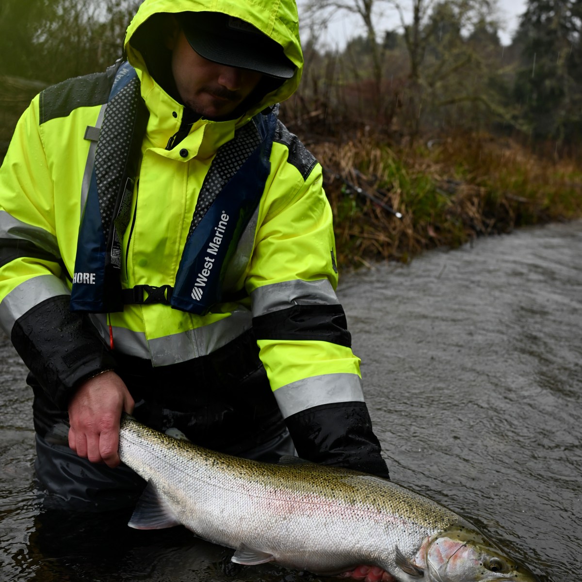 Person in a yellow raincoat holding a large fish in a river.