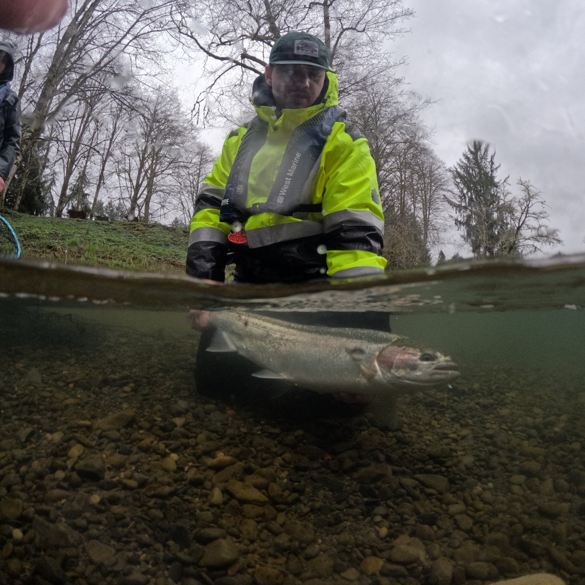 Person in bright jacket holds fish in water while kneeling beside riverbank.