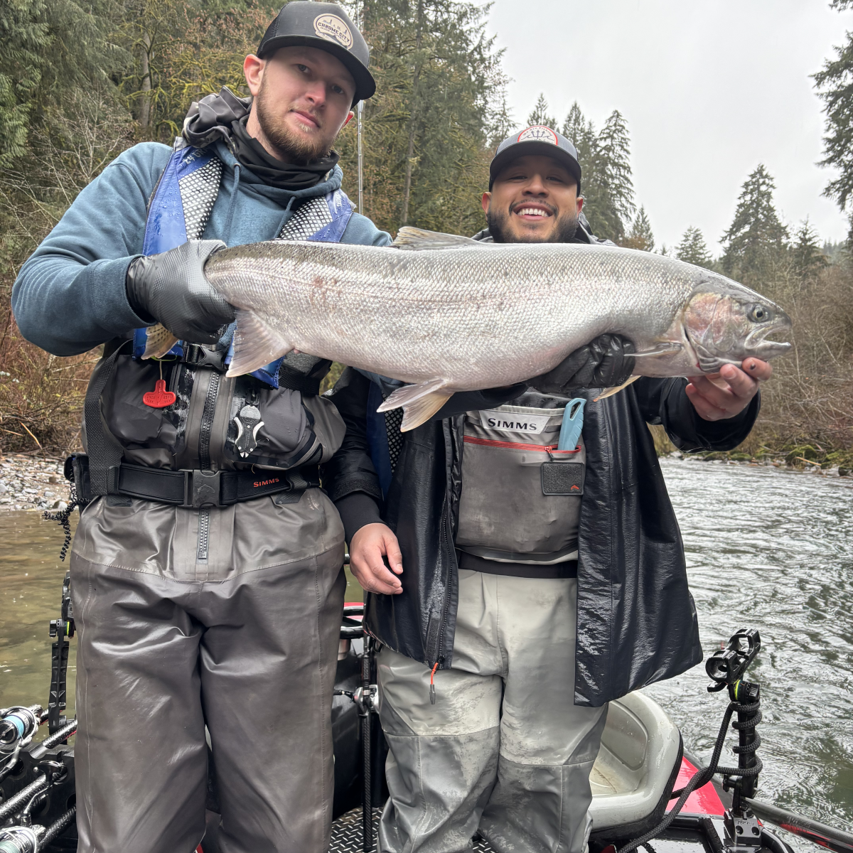 Two fishermen in waders holding a large fish on a boat in a forested river.